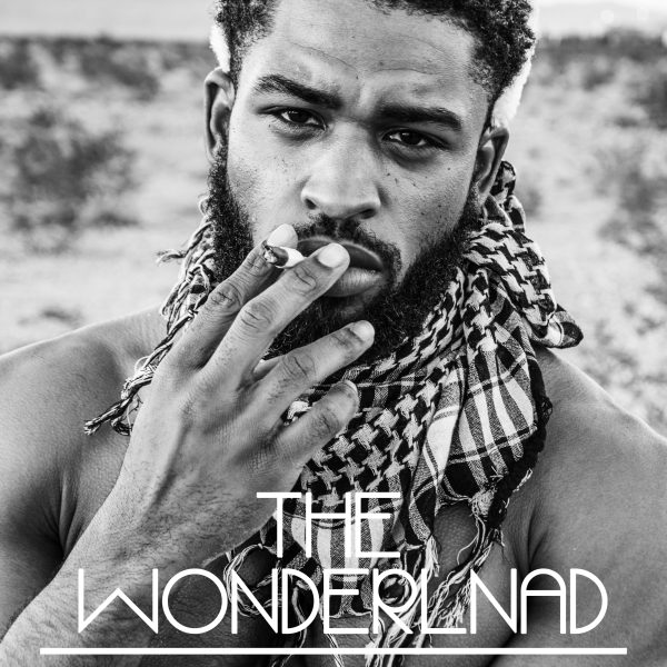 Wonderlnad — studio world artwork