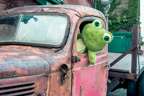 Fred the Frog — studio world artwork